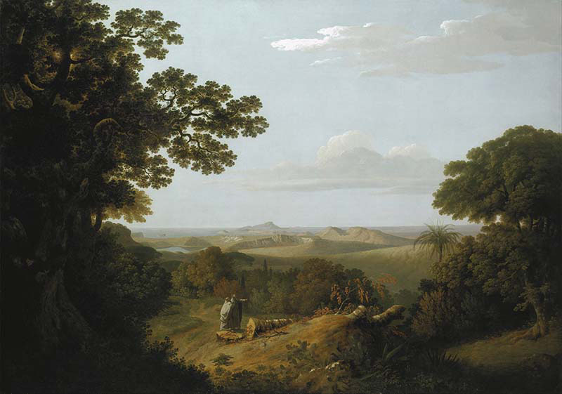 View of the Campi Flegrei